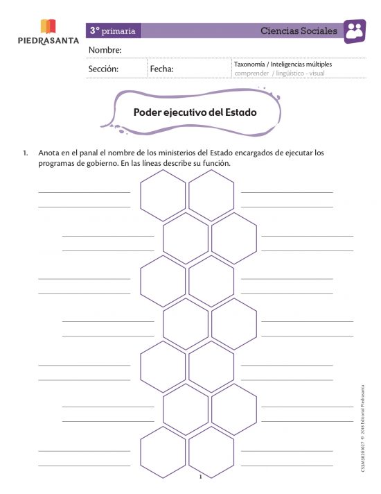 El poder ejecutivo del estado