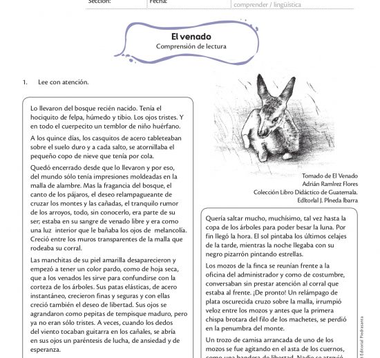 El venado