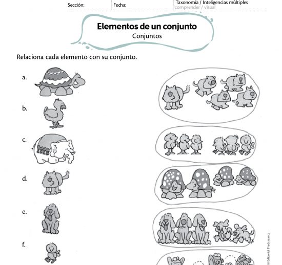 Elementos de un conjunto