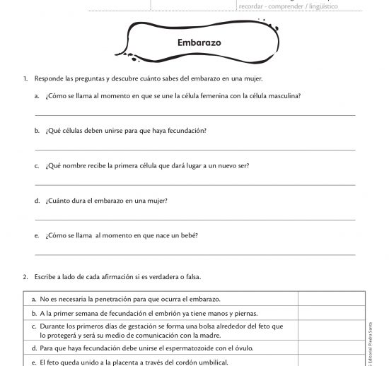 Embarazo
