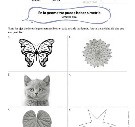 En la geometría puede haber simetría
