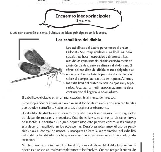 Encuentro ideas principales