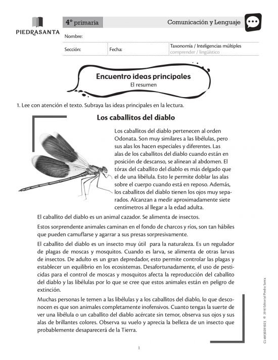Encuentro ideas principales