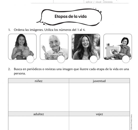 Etapas de la vida