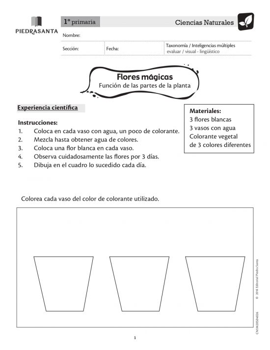 Flores mágicas