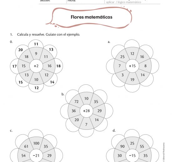 Flores matemáticas