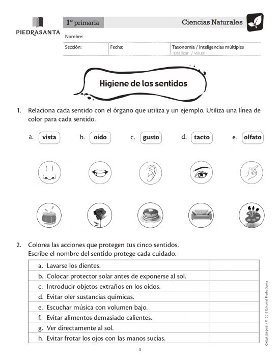 Higiene de los sentidos