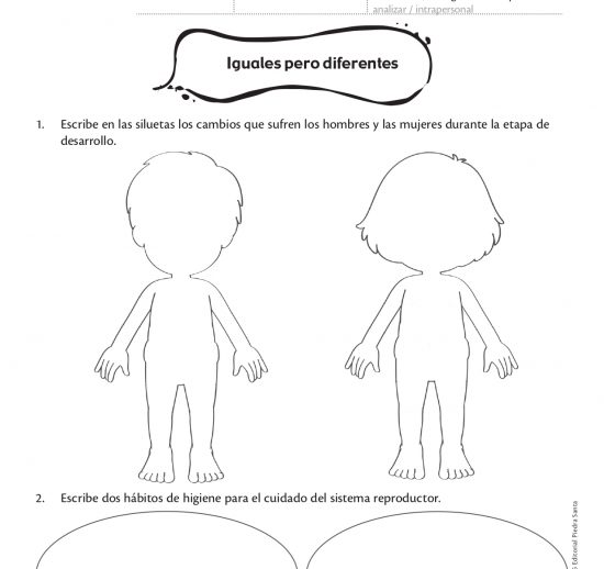 Iguales pero diferentes