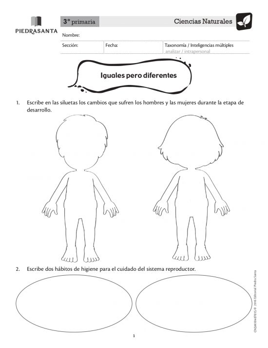 Iguales pero diferentes