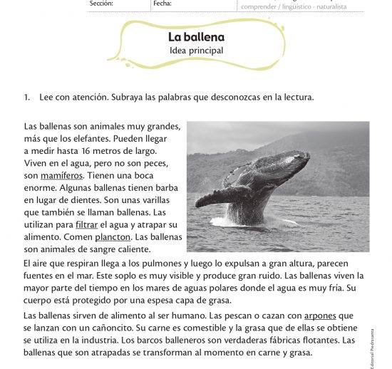 La ballena