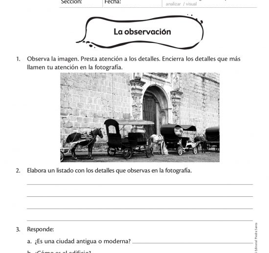 La observación