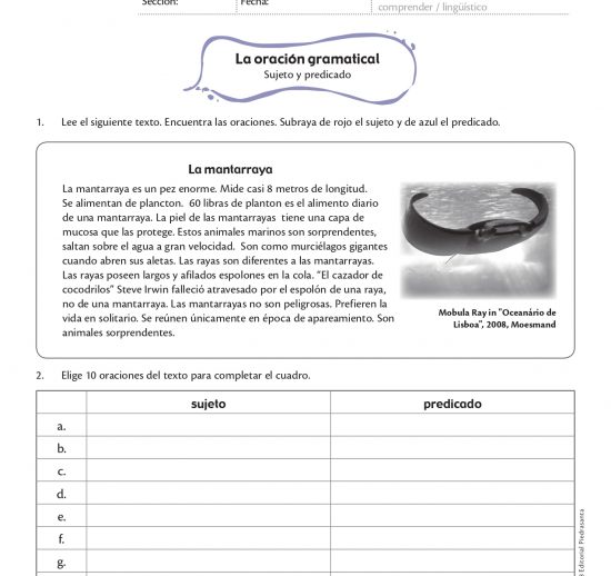 La oración gramatical