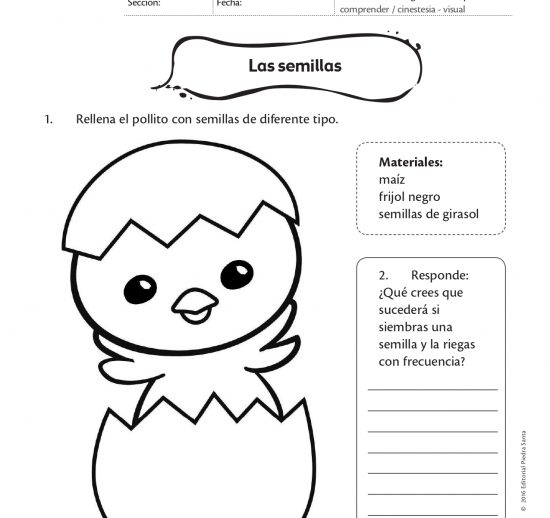 Las semillas