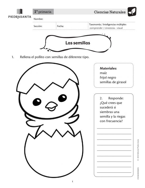 Las semillas