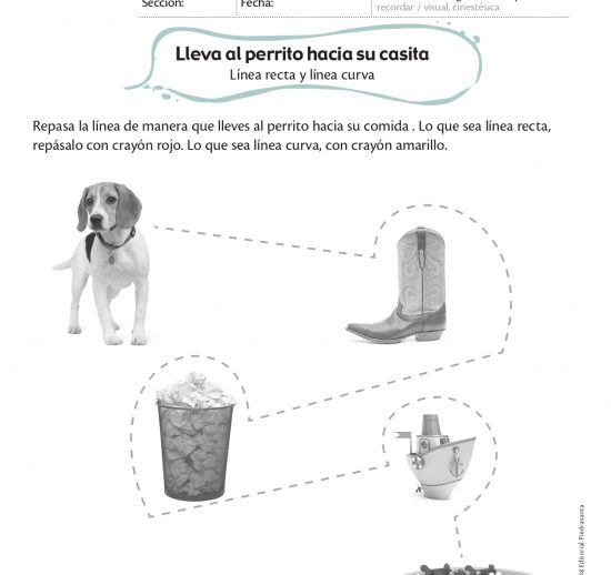 Lleva el perrito hacia su casita