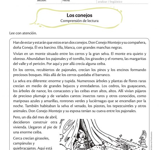 Los conejos