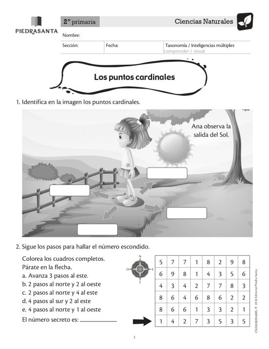 Los puntos cardinales