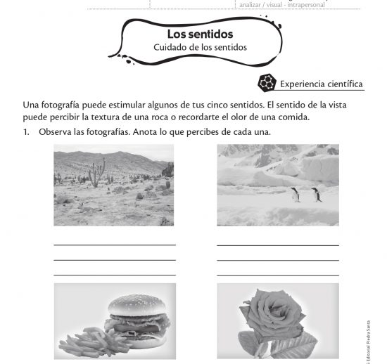 Los sentidos