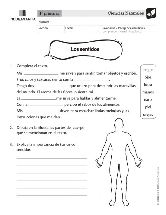 Los sentidos