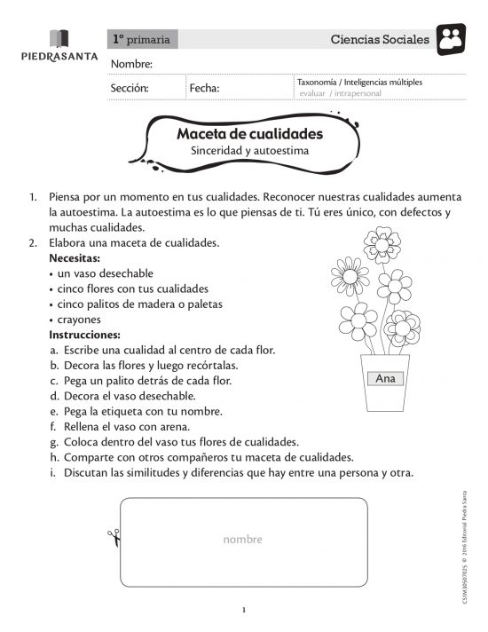 Maceta de cualidades