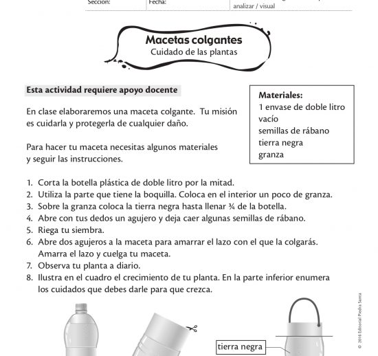Macetas colgantes