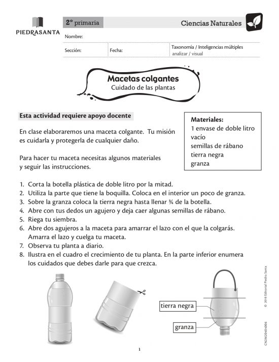 Macetas colgantes