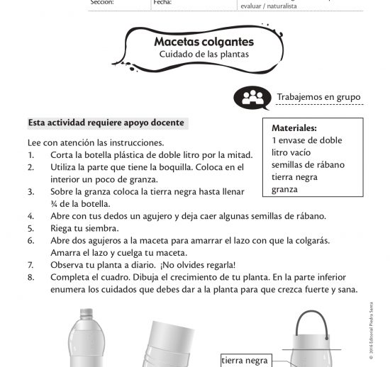 Macetas colgantes