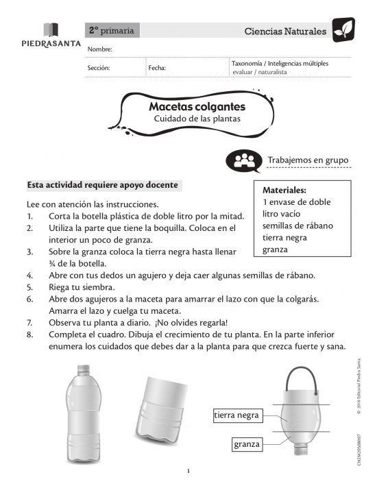 Macetas colgantes