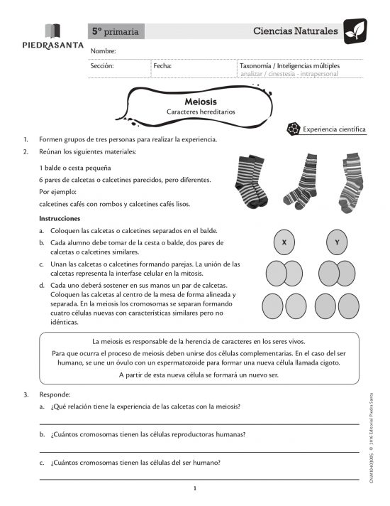 Meiosis