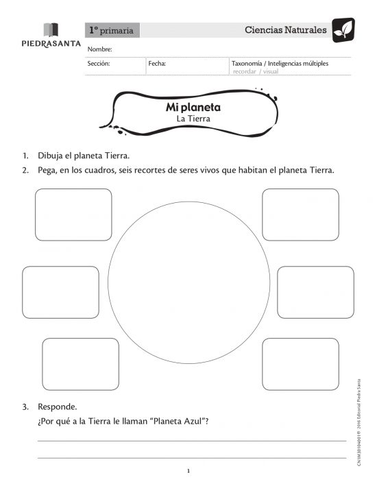 Mi planeta