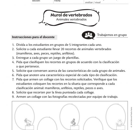 Mural de vertebrados