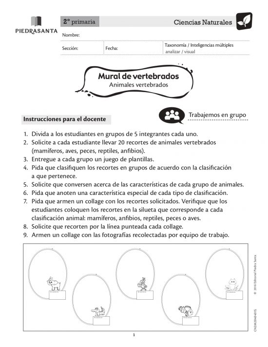 Mural de vertebrados