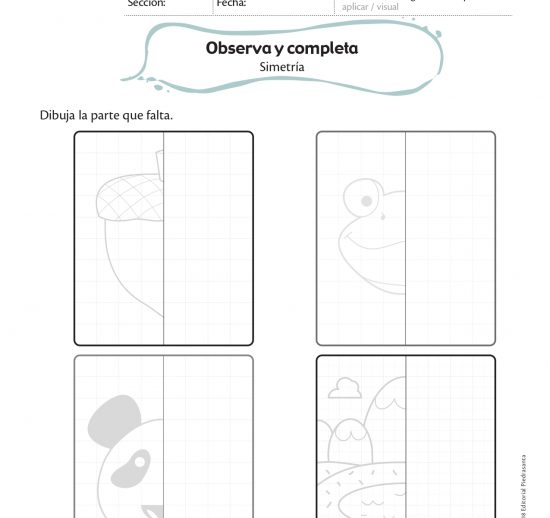 Observa y completa