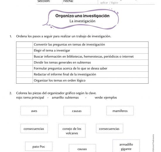 Organiza una investigación