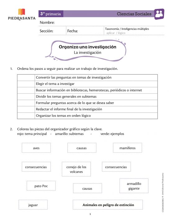 Organiza una investigación