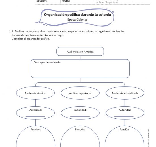 Organización política durante la colonia