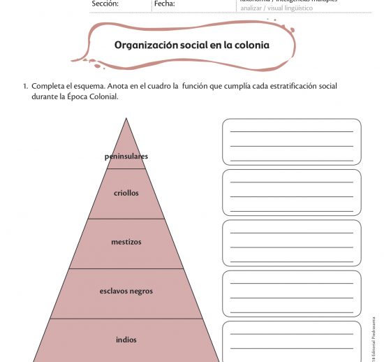 Organización social en la colonia