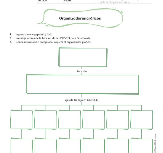 Organizadores gráficos