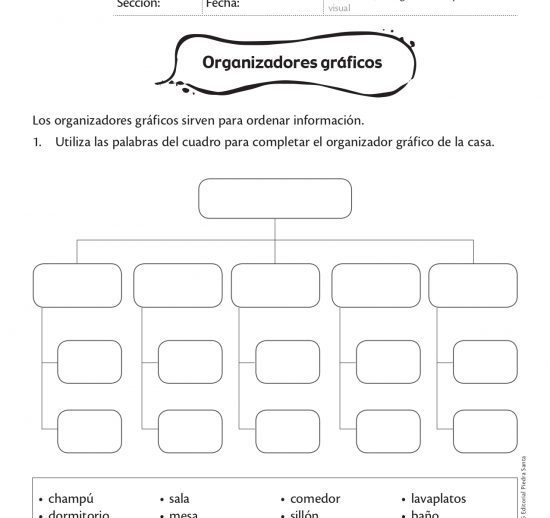 Organizadores gráficos