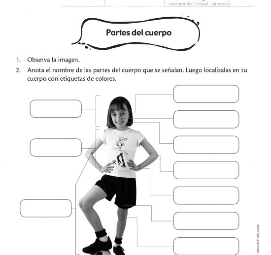 Partes del cuerpo