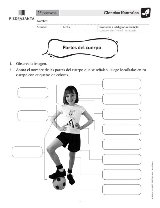 Partes del cuerpo