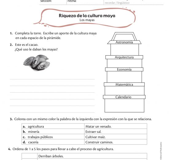 Riqueza de la cultura maya