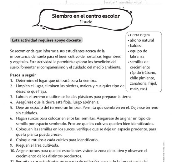 Siembra en el centro escolar