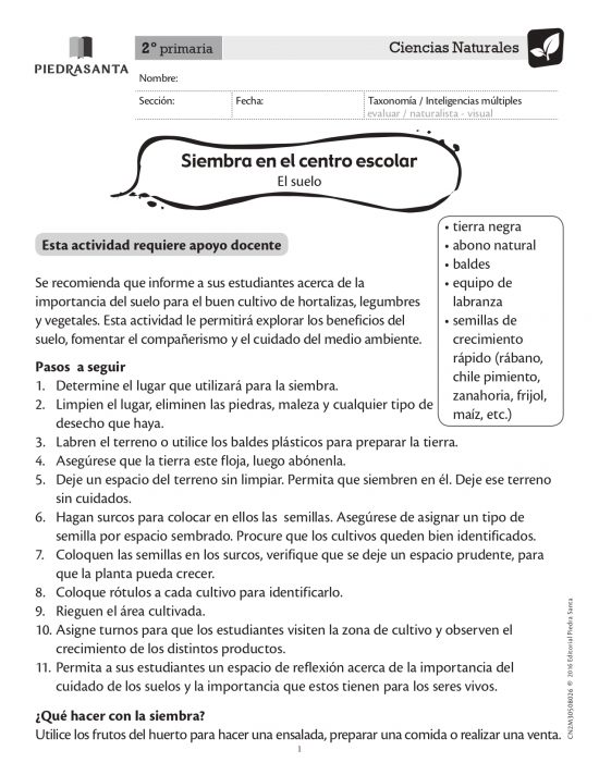 Siembra en el centro escolar
