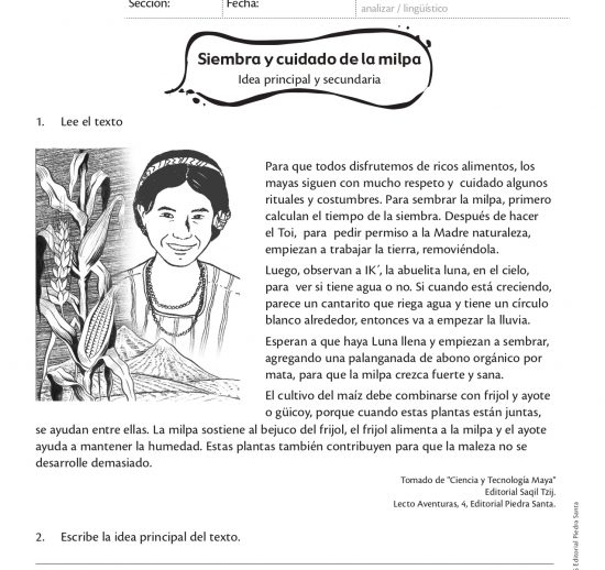 Siembra y cuidado de la milpa