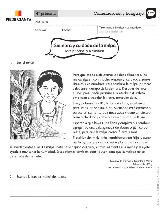 Siembra y cuidado de la milpa