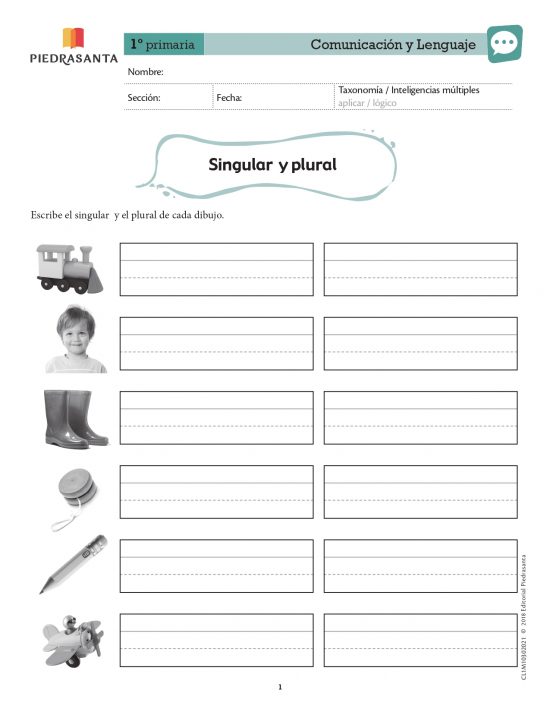 Singular y plural