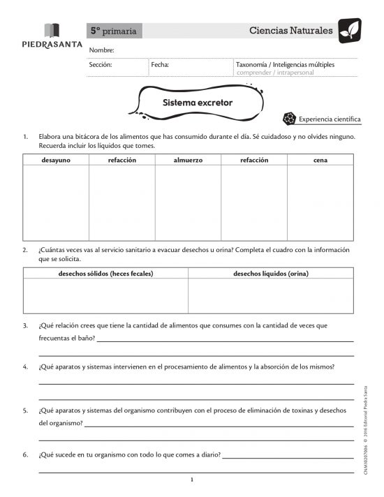 Sistema excretor