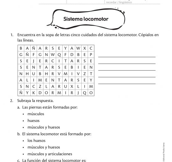Sistema locomotor