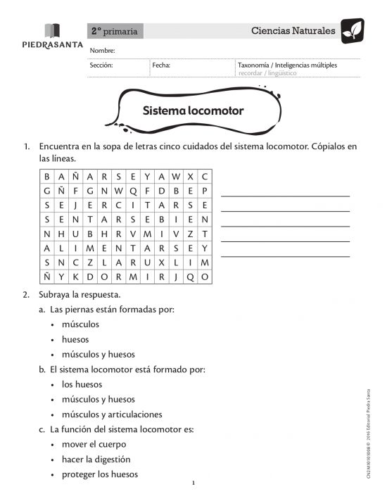 Sistema locomotor